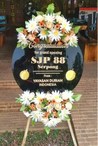 Grand Opening Mamasa